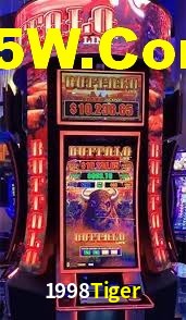 Daily Bonuses 1998Tiger