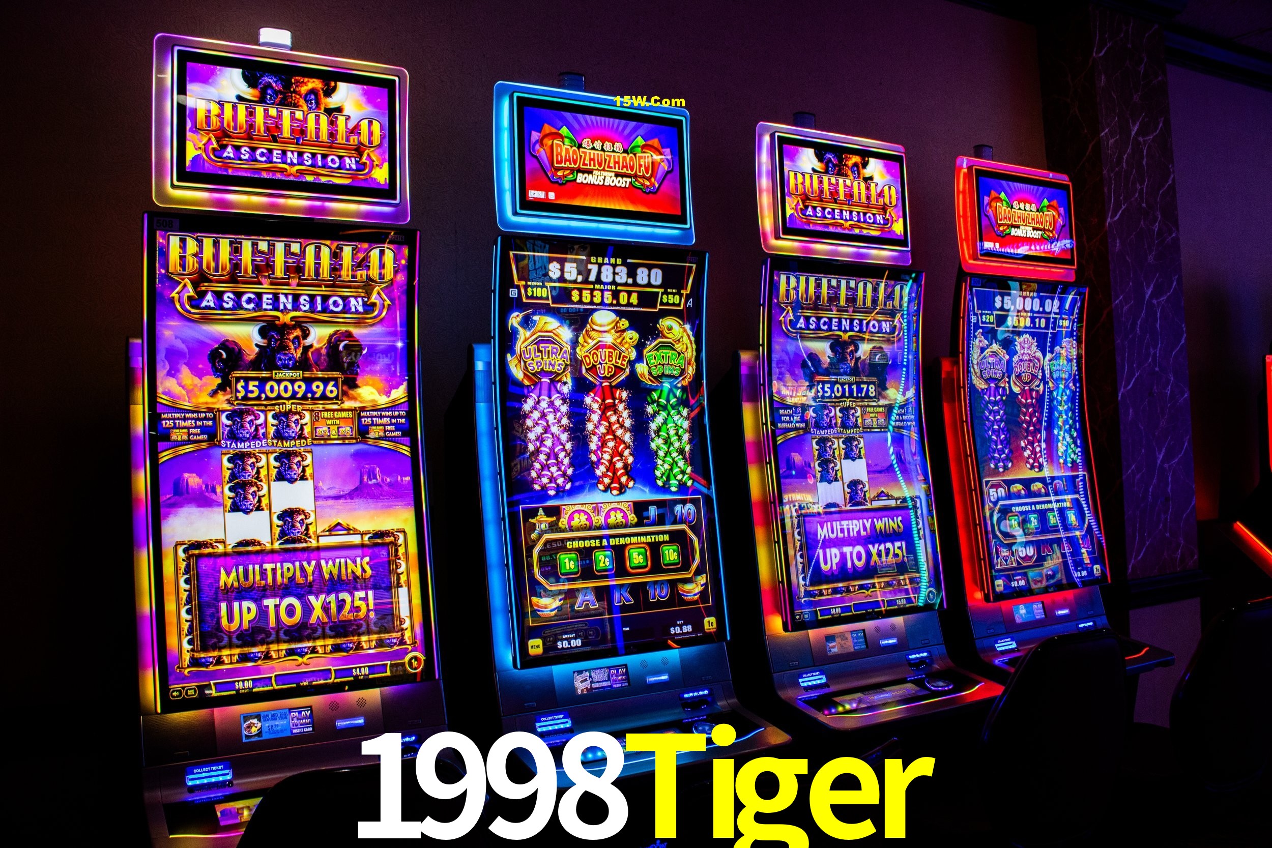 Bonus Features 1998Tiger